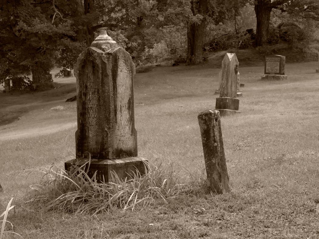 Cemetery Visit (Black and White Version)